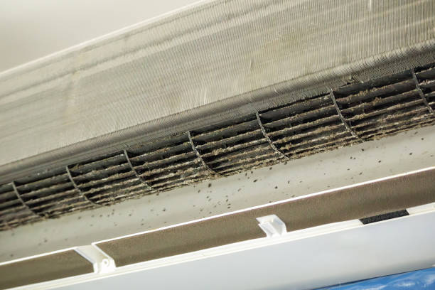 Best Air Duct Sanitizing Services  in Tioga, TX